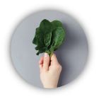 EL
</br>
flexitariango